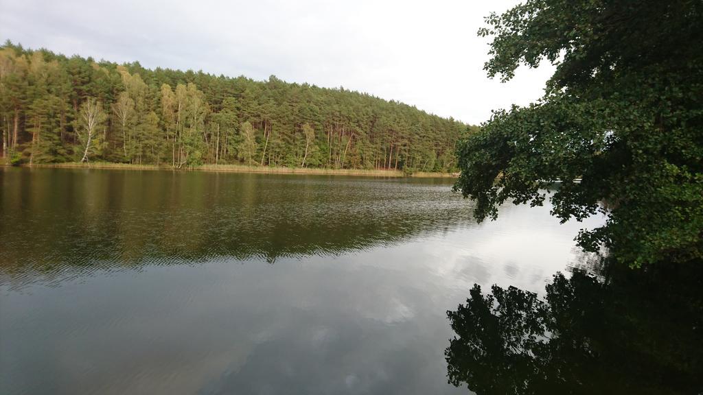 Fitnessfun Panzió Krzyż Kültér fotó