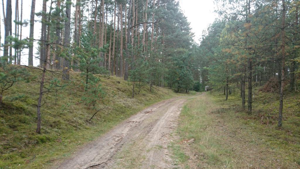 Fitnessfun Panzió Krzyż Kültér fotó